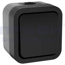 TORS Переключатель однокл. 10А IP55 TS101 графит IEK