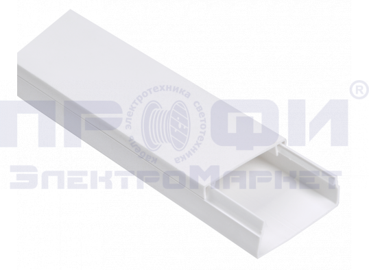 Кабель-канал 100х60 ECOLINE (цена за шт.-2м)