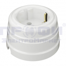 Розетка двухполюсная с заземлением белая (GE30301-01)